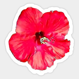 National Flower Malaysia Hibiscus Rosa-Sinensis Chinese Hibiscus Sticker